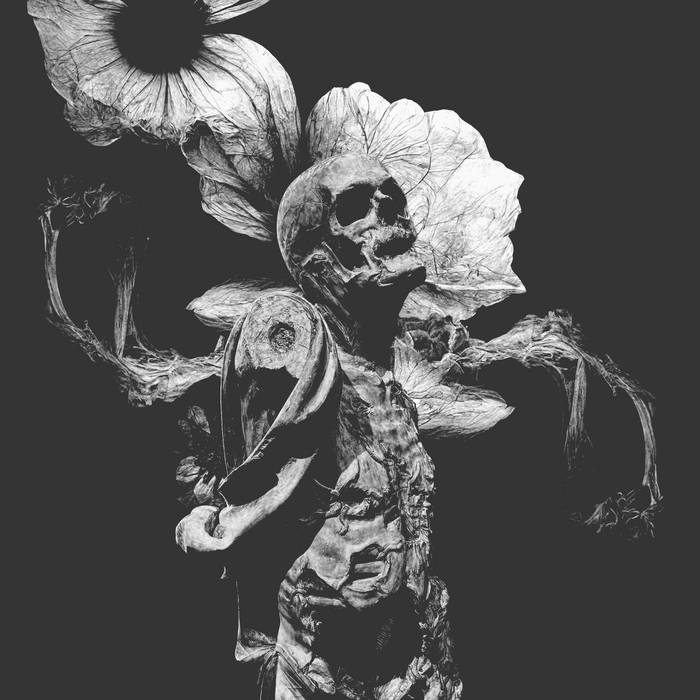 Our Earth Is A Tomb – Flowers Of Faith // Dregs Of Black