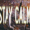 Wreck and Reference – Stay Calm