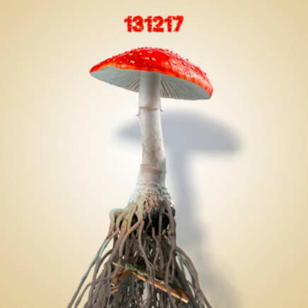 Sex Shop Mushrooms – 131217