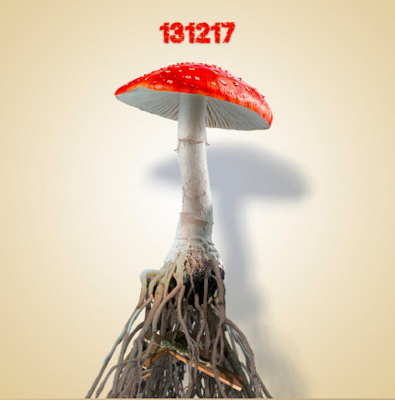 Sex Shop Mushrooms – 131217