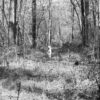 .22LR – Relief
