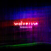 Wolverine – Anomalies