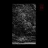 Aeger Anima – The Falling Leaves