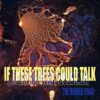 If These Trees Could Talk – The Hidden Hand