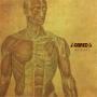 Gored – Human