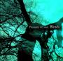 presence-of-soul-blinds